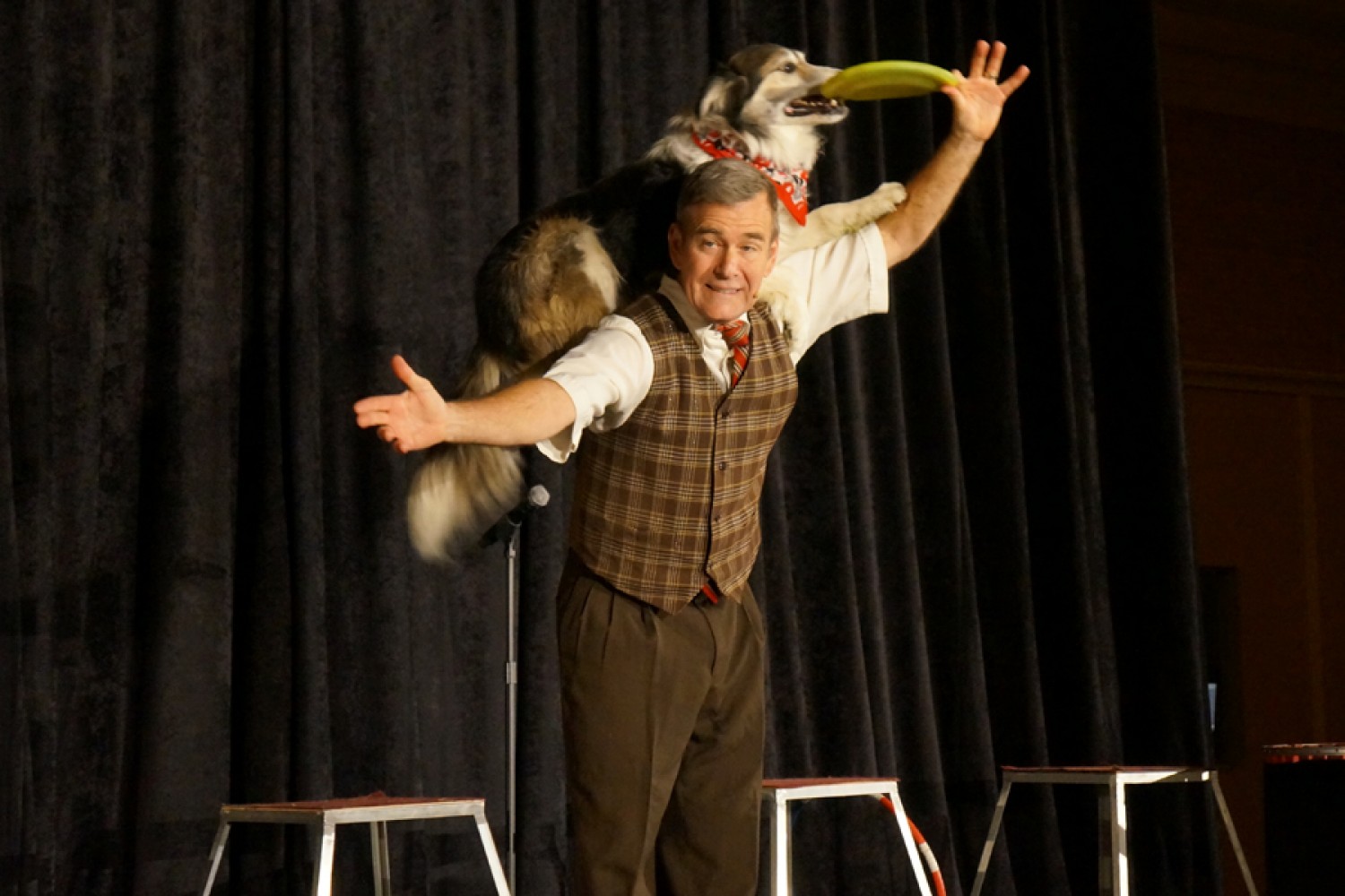 Mutts Gone NutsShow The Lyric Theatre